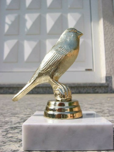 P1346 kanarien vogel - vogel, figur